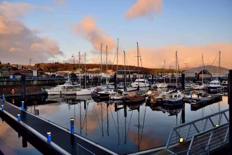 boats in the harbor