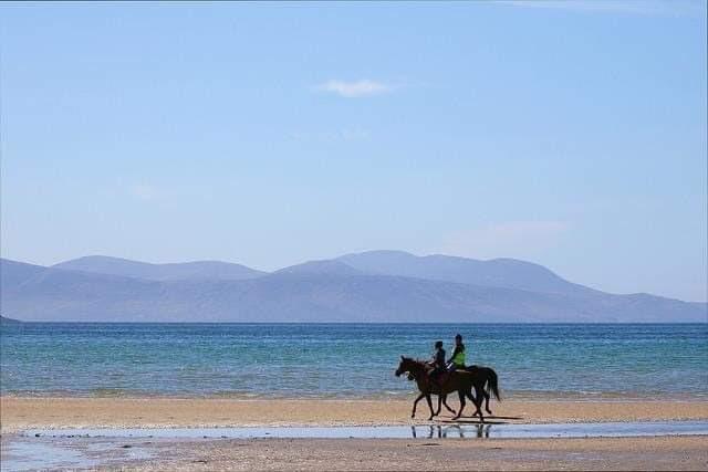 horse riding